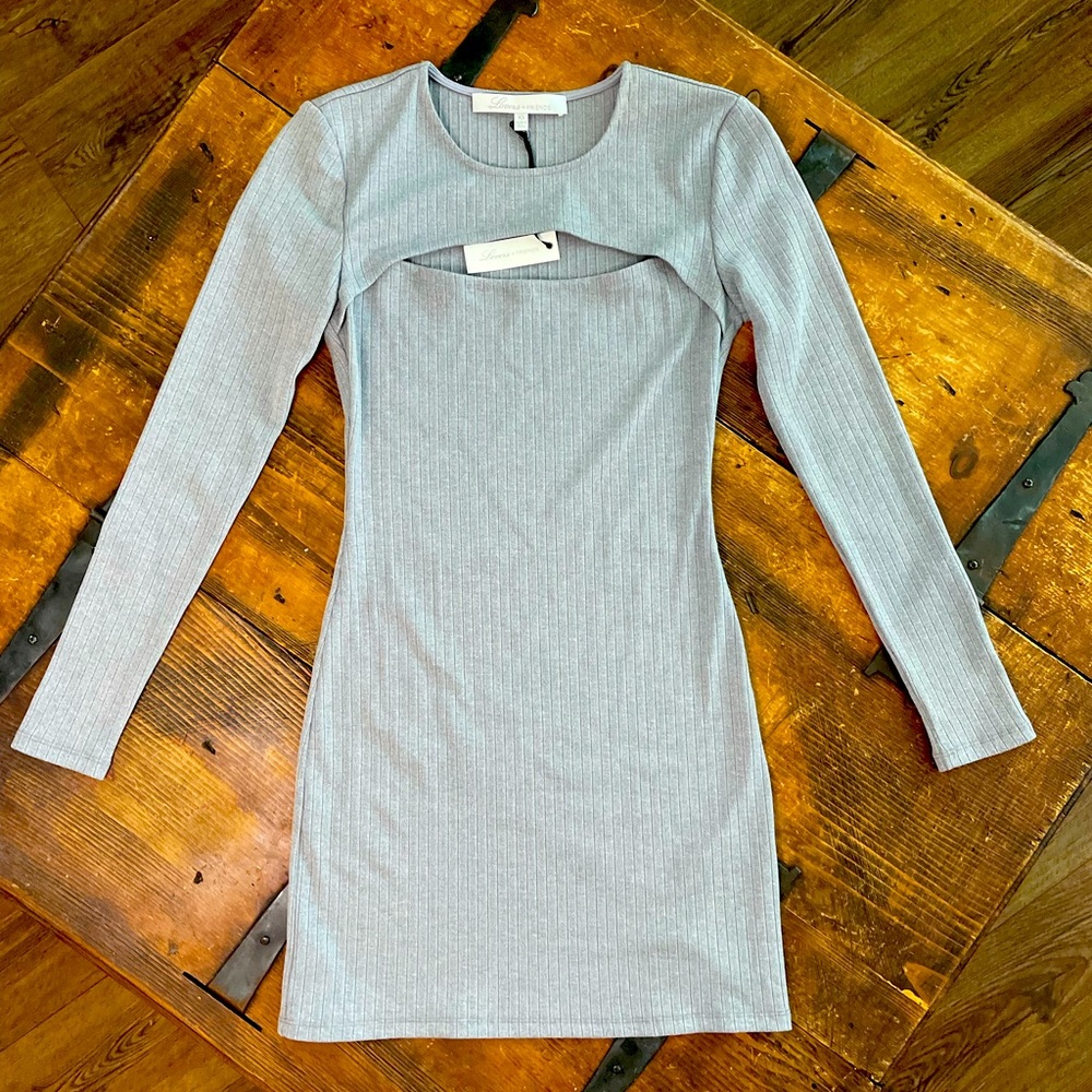 LOVERS & FRIENDS: Brand new, XS, long sleeve, gray mini dress